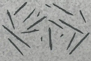 Microstructure de la fonte grise